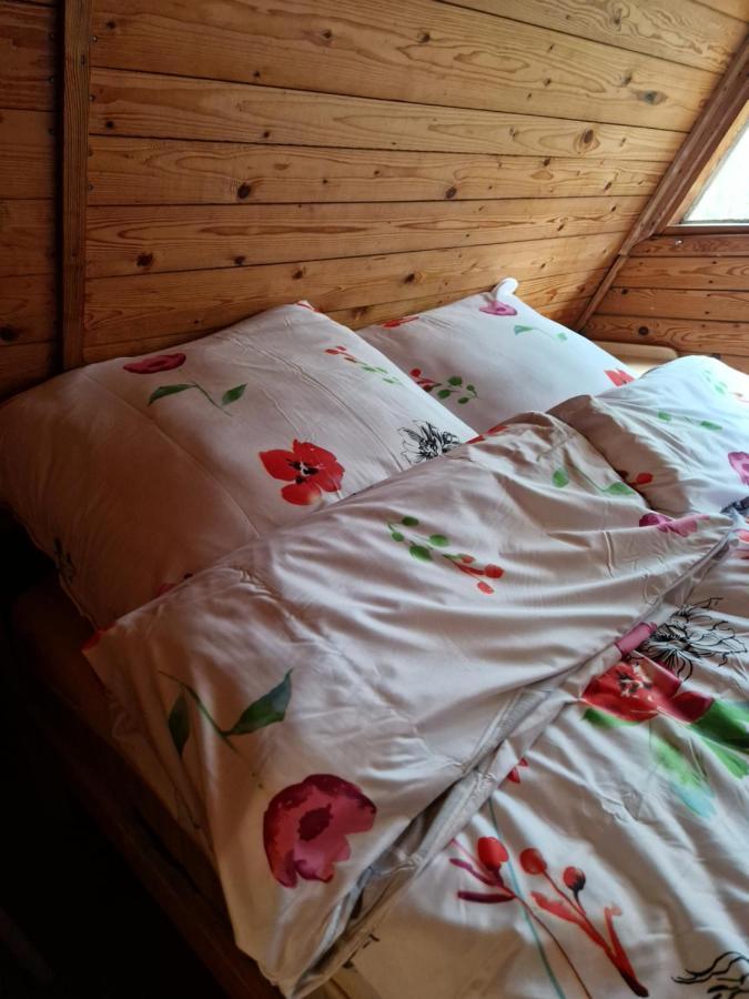Lesna Chatka Wola Polska エクステリア 写真